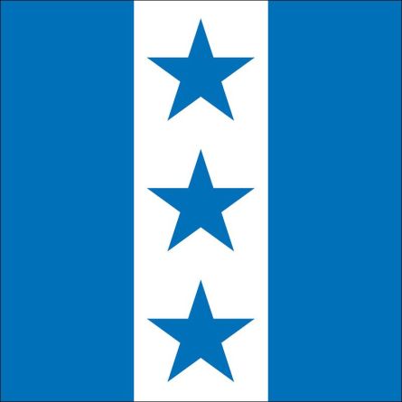 Münchwilen TG flag
